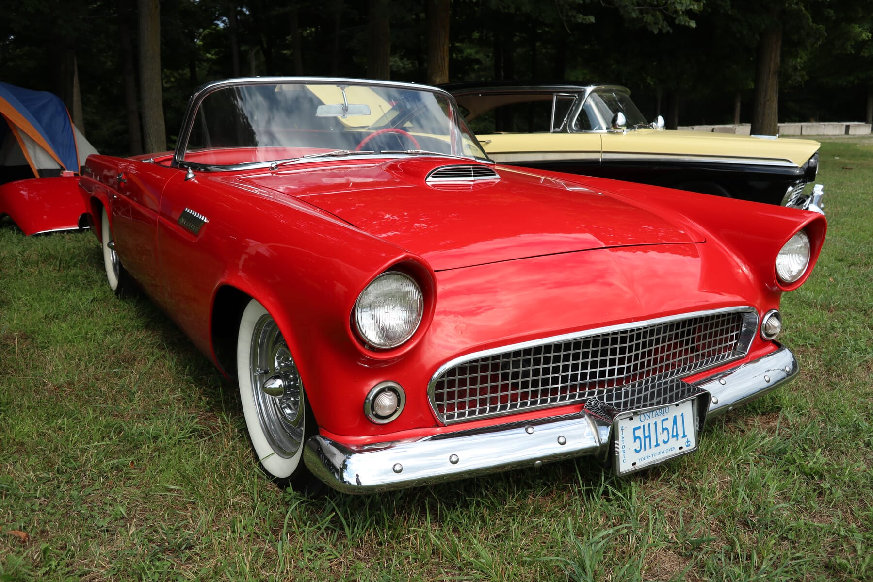 1955 Ford Thunderbird with custom bumpers and original paint